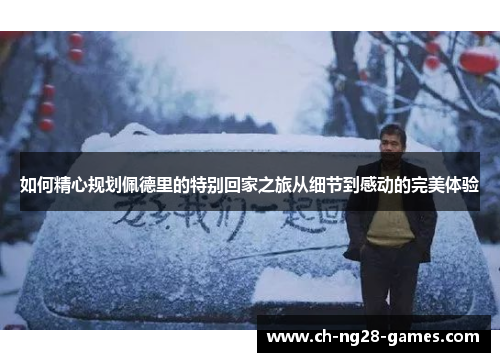 如何精心规划佩德里的特别回家之旅从细节到感动的完美体验