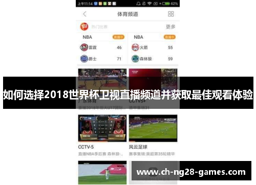 如何选择2018世界杯卫视直播频道并获取最佳观看体验