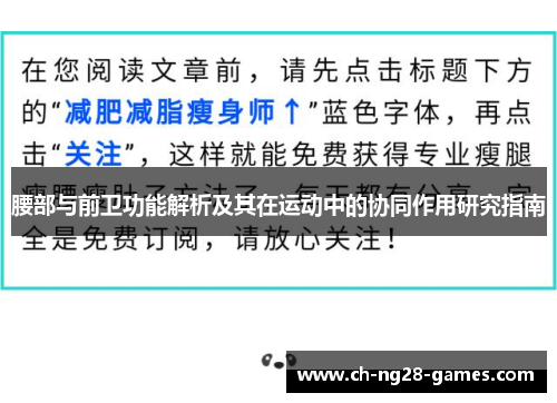腰部与前卫功能解析及其在运动中的协同作用研究指南